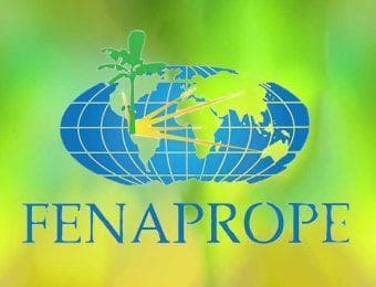 Productores de plátano del Ecuador - Fenaprope